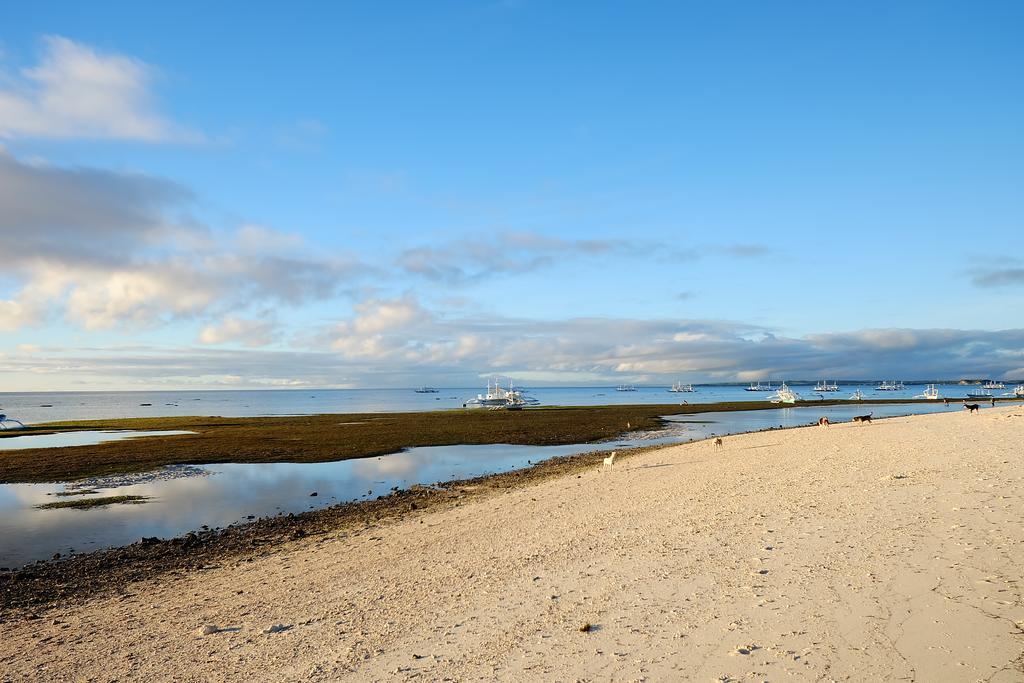 Malapascua Budget Inn Mbi Dive Center Zewnętrze zdjęcie